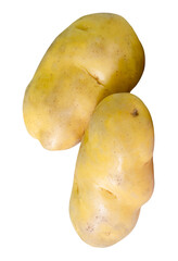 Two bulbs of potatoes in stack isolated with clipping path in png file format