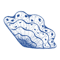 Minimalist sea shell hand drawn vector art. Close-up blue textured ink line mollusk. Icon contour symbol for summer coastal design, home decor, vacation print, stickers, tag, logo