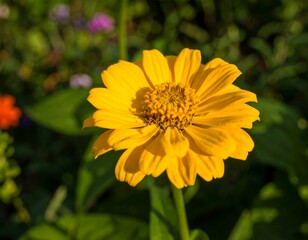 Obraz premium Bright yellow flower in garden