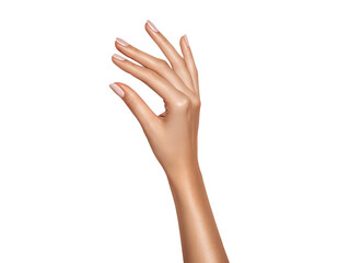 Elegant female hand reaching up isolated on transparent background