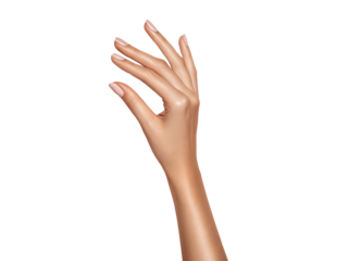 Elegant female hand reaching up isolated on transparent background