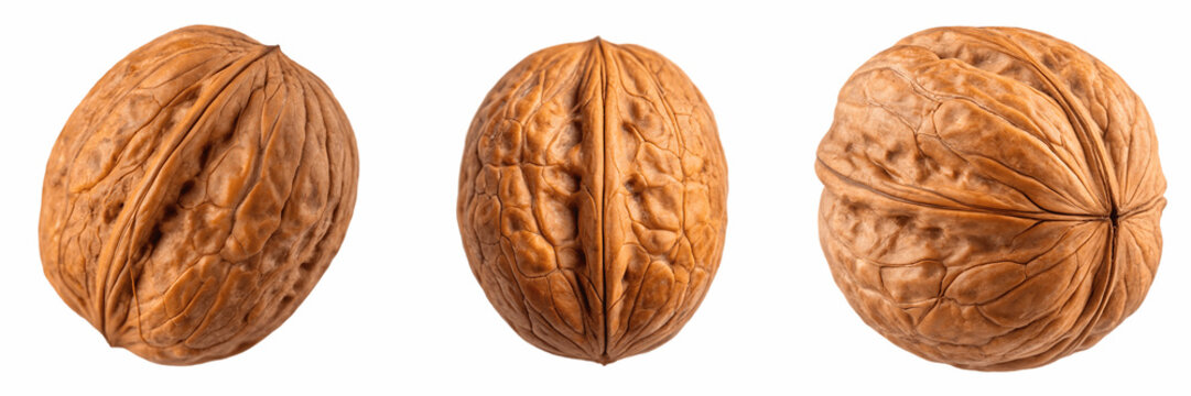 Set For Three walnuts in their shells isolated on transparent background