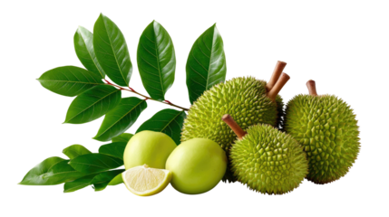 Exotic Durian Fruit: The captivating image of a close-up of exotic durian fruits along with lime fruit, and a touch of refreshing, light green leaves.