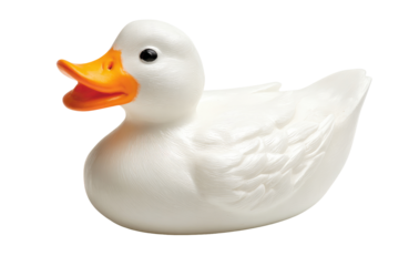 White rubber duck (4)