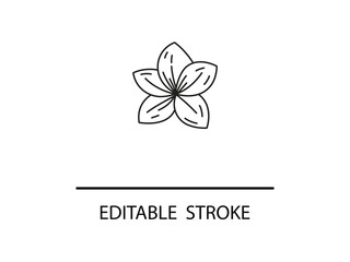 Elegant Plumeria flower icon with customizable editable stroke for beautiful design projects.