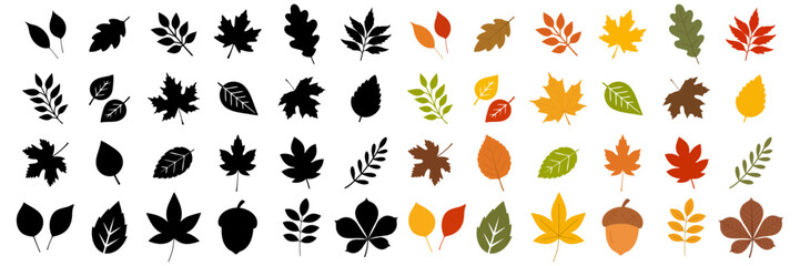 Set of colorful autumn leaves isolated on white background. Black silhouettes and colored. Simple cartoon flat style, vector illustration.