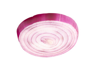 One Spanish onion or red onion slice isolated with clipping path in png file format