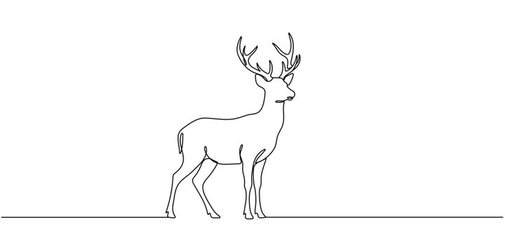 Deer line art icon. Deer continuous line drawing. Deer one line draw graphic vector. Vector illustration Editable stroke