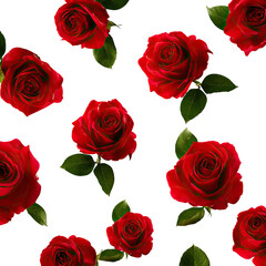 Red roses on black background