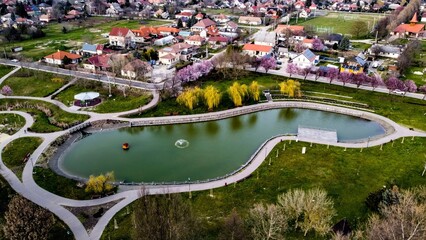 Fototapeta premium Artificial Lake of Rácalmás – Aerial View of a Community Oasis 