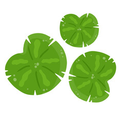 Lily pad icon Lily cartoon vector on white background