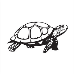 Turtle silhouette with detailed shell isolated on white background