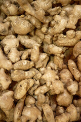 Basket full of fresh ginger roots