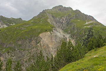 Mountain landscape with meadow and trees on a cloudy day in the French alps