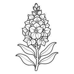 verbascum densiflorum flower line-art vector on-white