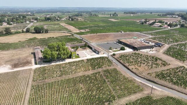 vue a&eacute;rienne du vignoble de Sauternes dans la r&eacute;gion de Bordeaux, avec le ch&acirc;teau d'Arche et le village de Sauternes. Viticulture, luxe, plaisir et tourisme