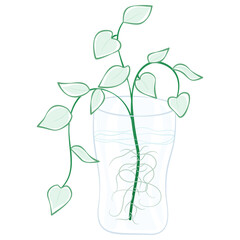 Minimal line art drawing of a glass jar with water and leafy plant stems, clean and natural home decor concept.