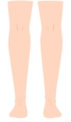 真後ろから見た両脚