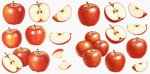 Detailed illustrations of ripe red apples, including whole fruits, halves with seeds, and various slices.
