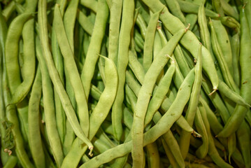 Basket full of fresh green beans