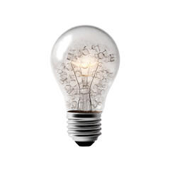 Illuminated lightbulb with intricate text design