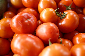 Fresh red tomatoes displayed at a local market