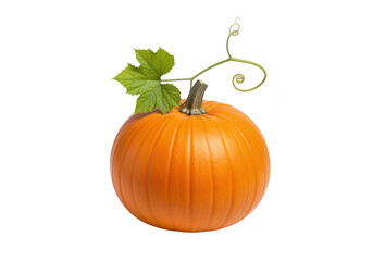 Fresh Orange Pumpkin with Green Stem and Leaf Isolated on White
