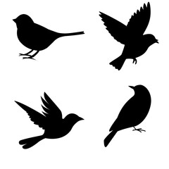 Set of bird silhouettes in different flying and standing poses isolated on white background