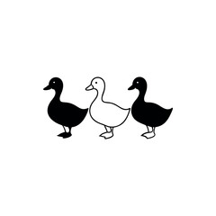 Three ducks in a row with a black and white scheme design silhouette vector 