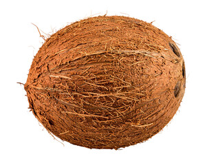  Whole Tropical Coconut with Brown Husk, Isolated on Transparent Background