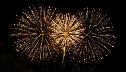 Fireworks display at night (2)