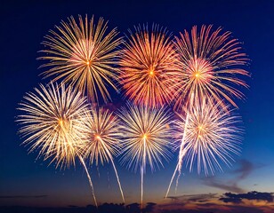 Fireworks exploding in the dark sky