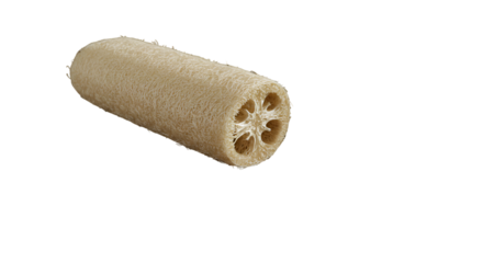 An organic loofah sponge a natural way to cleanse and exfoliate isolated on a black background with