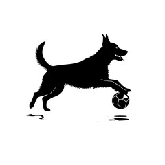 Energetic dog playing with a soccer ball, action shot