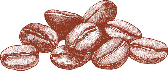 Coffee beans isolated on a white background. This vector illustration can be used in any size you like for advertising, logos, and other work.