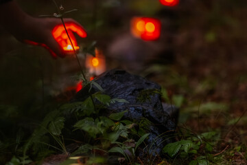 A hand carefully places a small glowing candle among red memorial lanterns in the forest, symbolizing remembrance, respect, and quiet reflection.