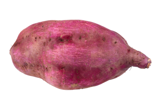 Sweet Potato close up isolated on transparent background.