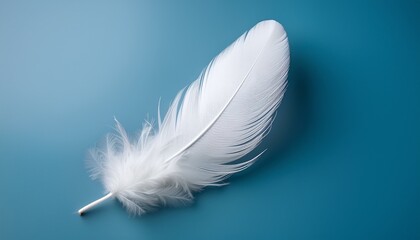 white feather floating on clean minimal background