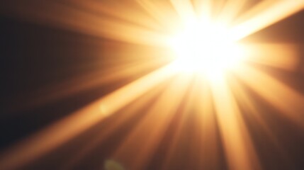 Blazing Sunlight: Capturing the radiant energy of the sun, this image showcases a vibrant burst of light and warmth, a visual symphony of luminosity and brilliance.