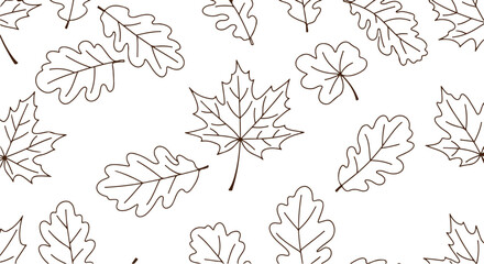 Seamless pattern of hand drawn oak and maple leaves vector illustration