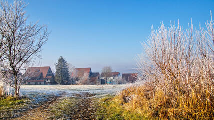 Obraz premium Rural landscape with frost-covered ground and bare trees under a clear blue sky on a cold winter afternoon.