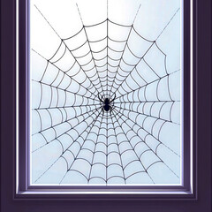 Obraz premium Intricate Spider Web Design Captured Through a Window Frame, halloween concept.