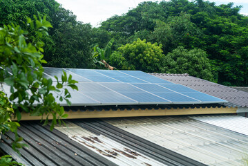 Solar Panels on Roof in Green Environment