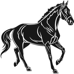 black horse vector illustration