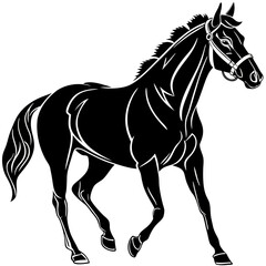 horse vector illustration