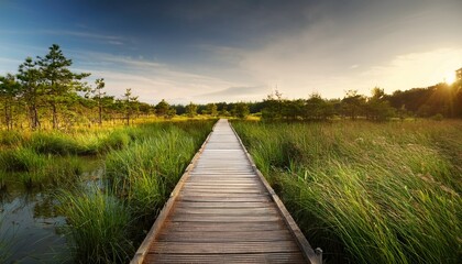 Fototapeta premium wooden path through the tranquil landscape an inviting wooden walkway cuts through a serene marsh or wetland offering a journey of introspection and exploration in the verdant wild