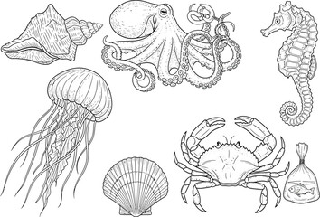 Obraz premium Detailed hand drawn black and white sketch of various marine creatures including octopus jellyfish crab seahorse and shells