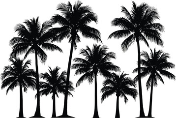 Silhouette of a cluster of tall lush palm trees against a stark white background creating a tropical island paradise feel