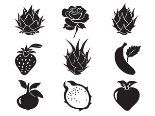 Colorful Fruit Icon with Dragon Fruit Orange Strawberry and Rose Illustration
