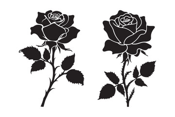 Elegant black silhouette of two blooming roses with stems and leaves